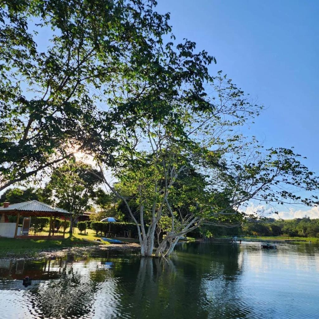 Pousada Aguas Claras/Canastra Delfinópolis 外观 照片